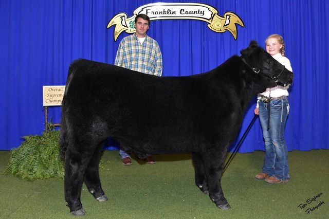 Grand Champion Market Steer SOLD in 2017 by Ginger Mitchell